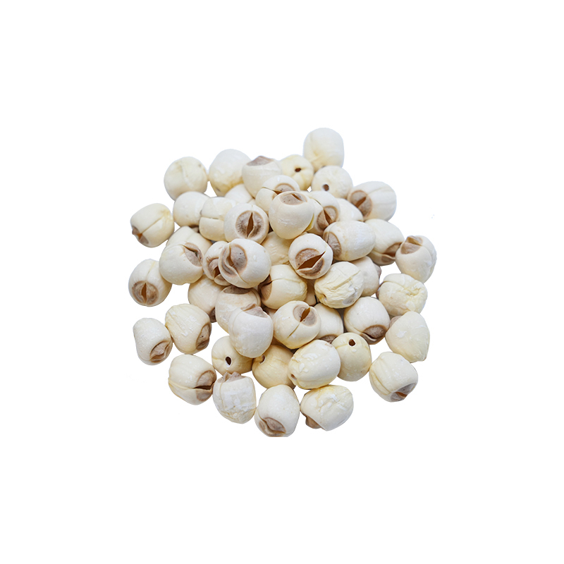 Specialty Tribute Lotus Seeds